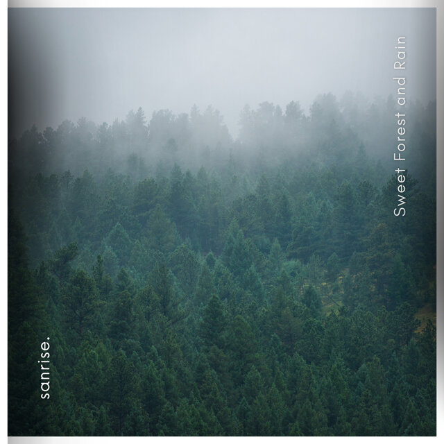 Sweet Forest and Rain