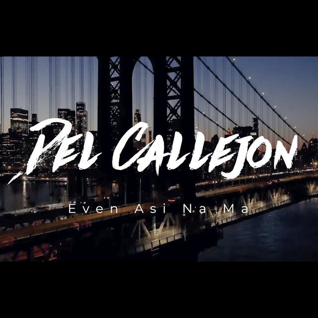 Del Callejon