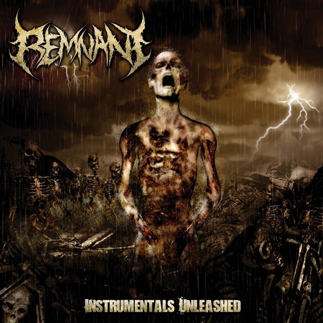 Instrumentals Unleashed