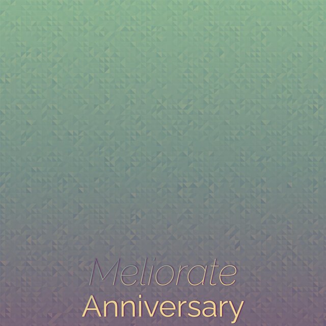 Meliorate Anniversary