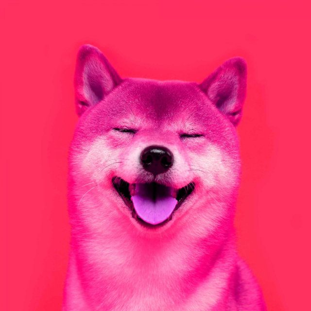 Subtle Music for Lazy Hound - Jazz Quintet