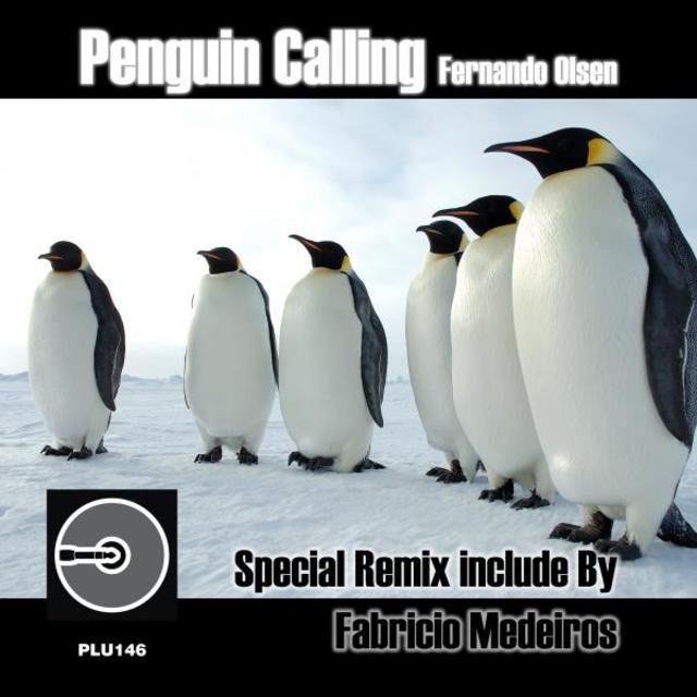 Penguin Calling