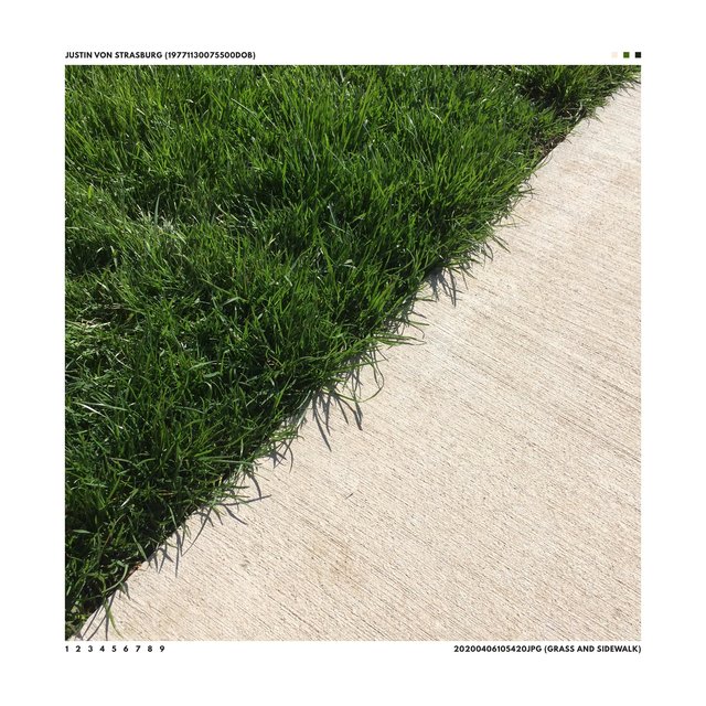 20200406105420JPG (GRASS AND SIDEWALK)