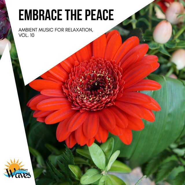 Embrace the Peace - Ambient Music for Relaxation, Vol. 10