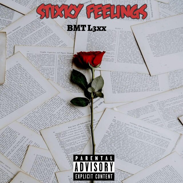 Stixky Feelings
