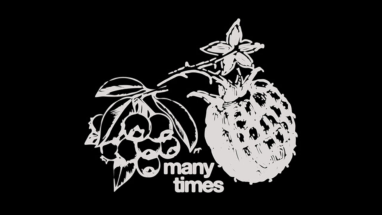 Many Times (Lyric Video)