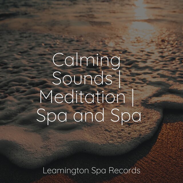 Calming Sounds | Meditation | Spa and Spa