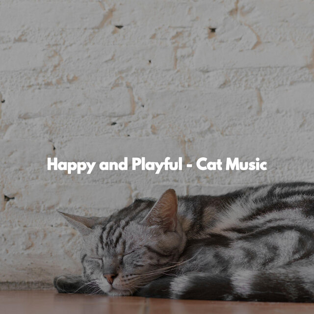 Happy and Playful - Cat Music