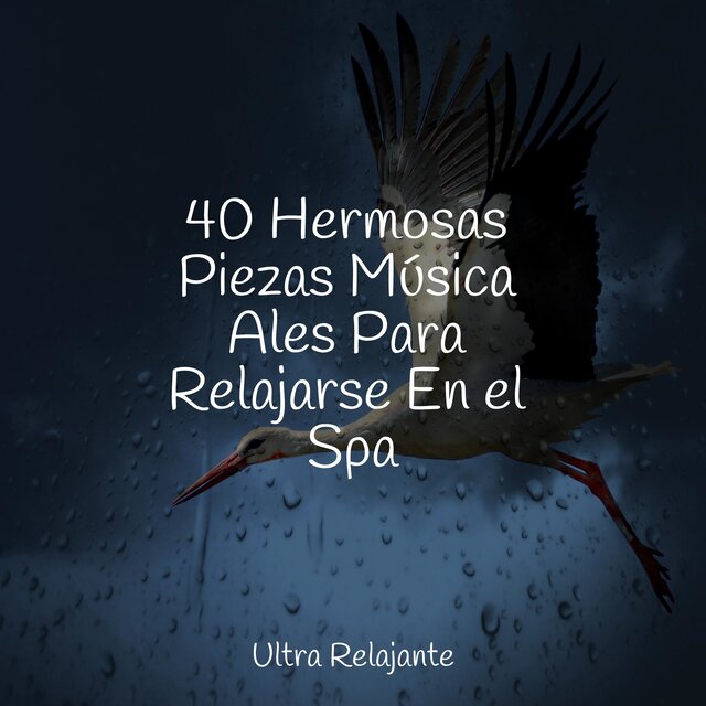 40 Hermosas Piezas Música Ales Para Relajarse En el Spa