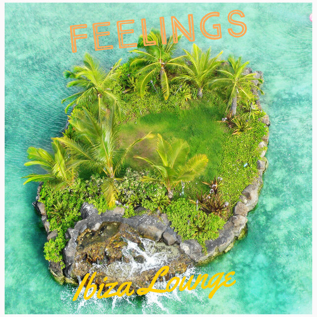 Feelings