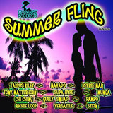 Summer Party