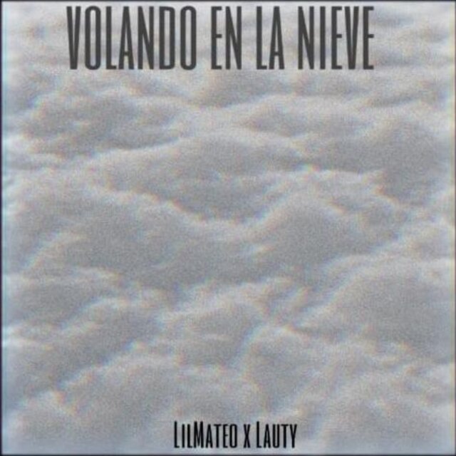 Volando en la nieve