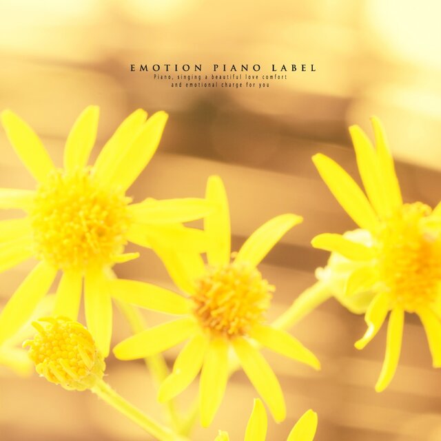 Cover art for album  by Dream Walker