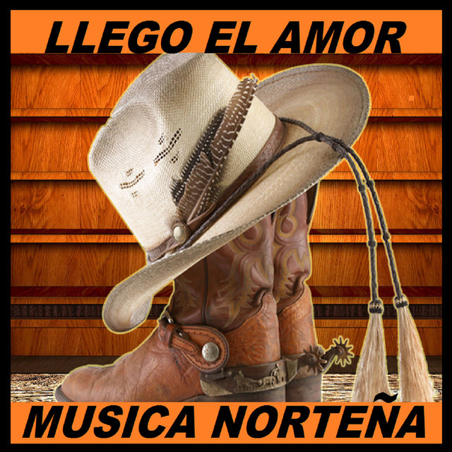 Llego El Amor
