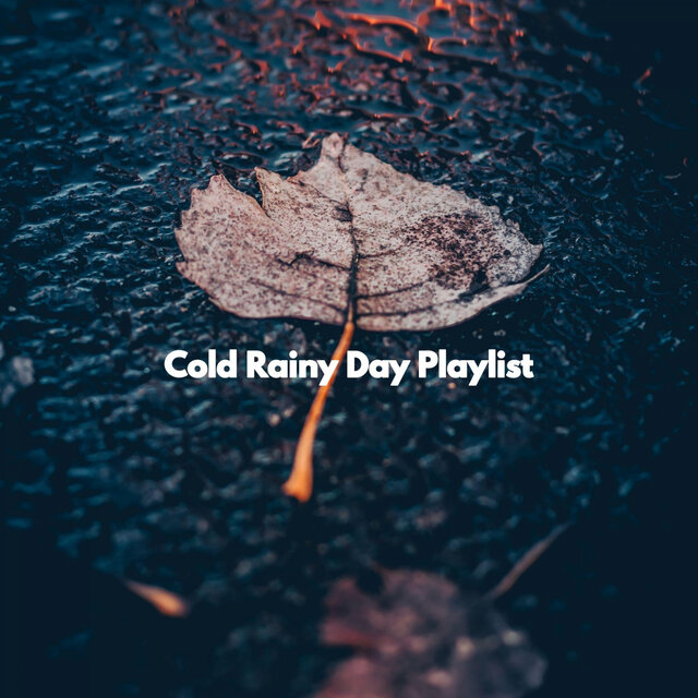 Cold Rainy Day Playlist