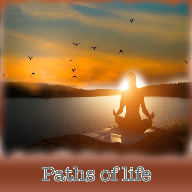 Paths Of Life