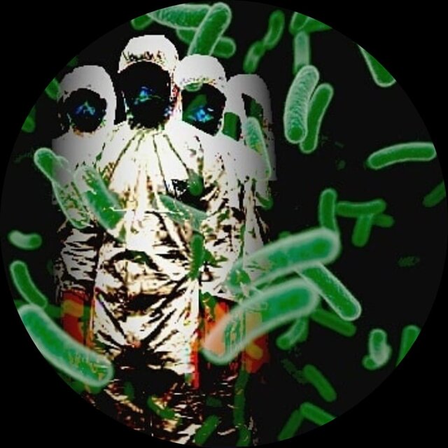 WISER EPIDEMIA