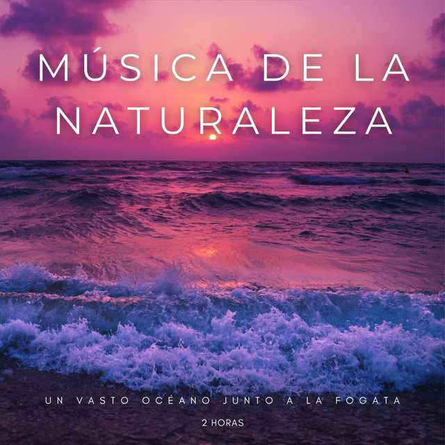 Música De La Naturaleza: Un Vasto Océano Junto A La Fogata - 2 Horas