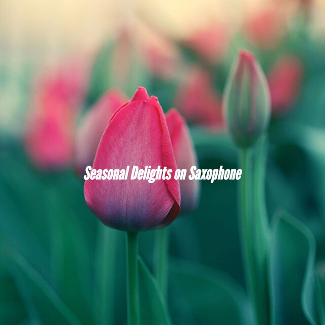 Seasonal Delights on Saxophone