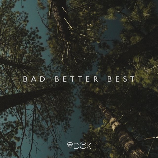Bad Better Best (feat. Sink)