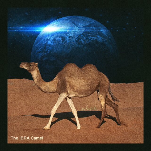 The IBRA Camel