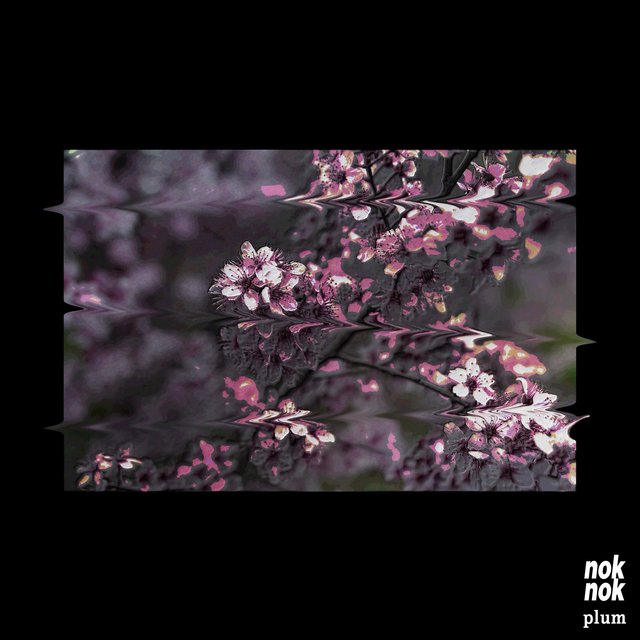 Plum