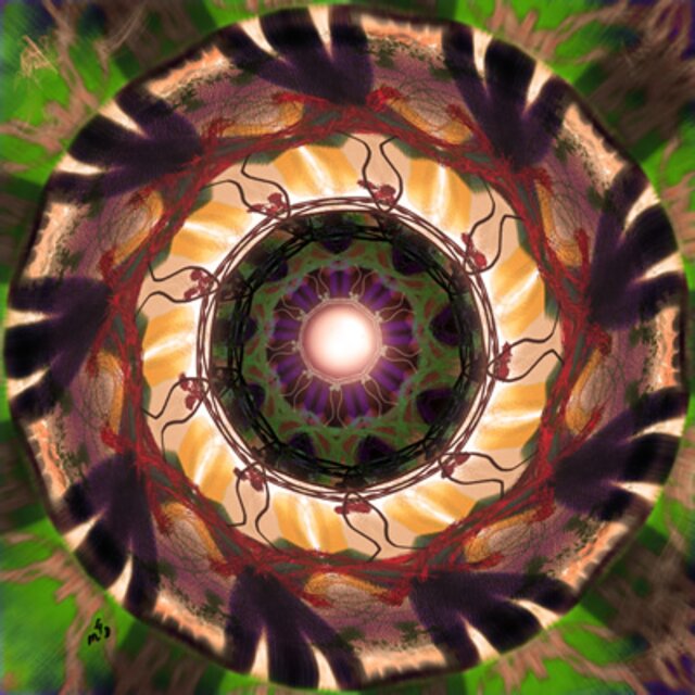 Cover art for album  by Music for M. D. Friedman's Visual Mantra Collection