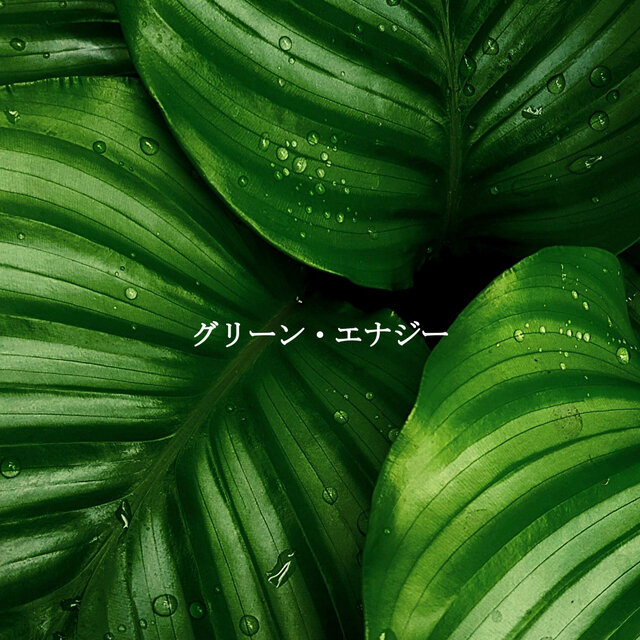 グリーン・エナジー