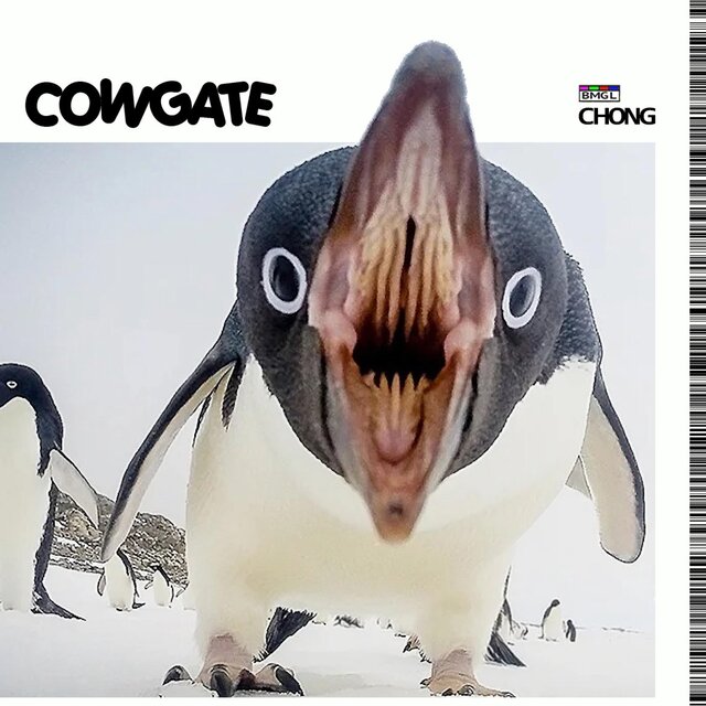 COWGATE
