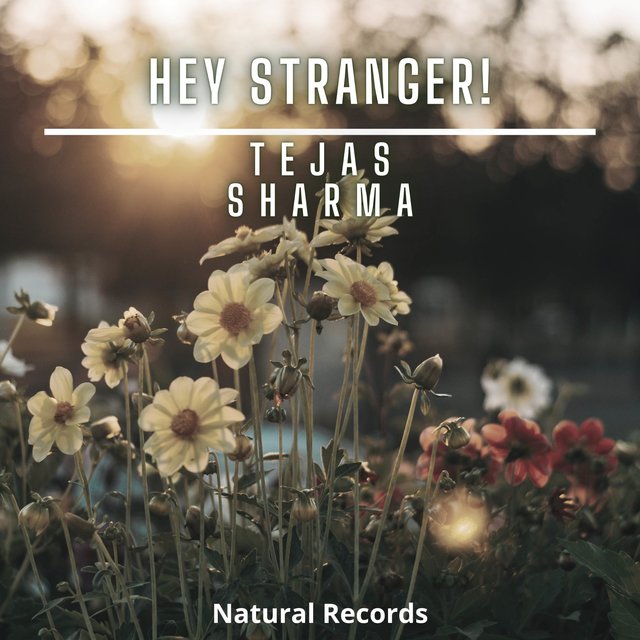 Hey Stranger!