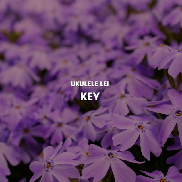 Key (From “Minecraft”) (Hawaii Style)