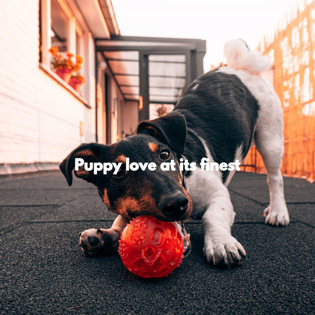 Puppy love at its finest
