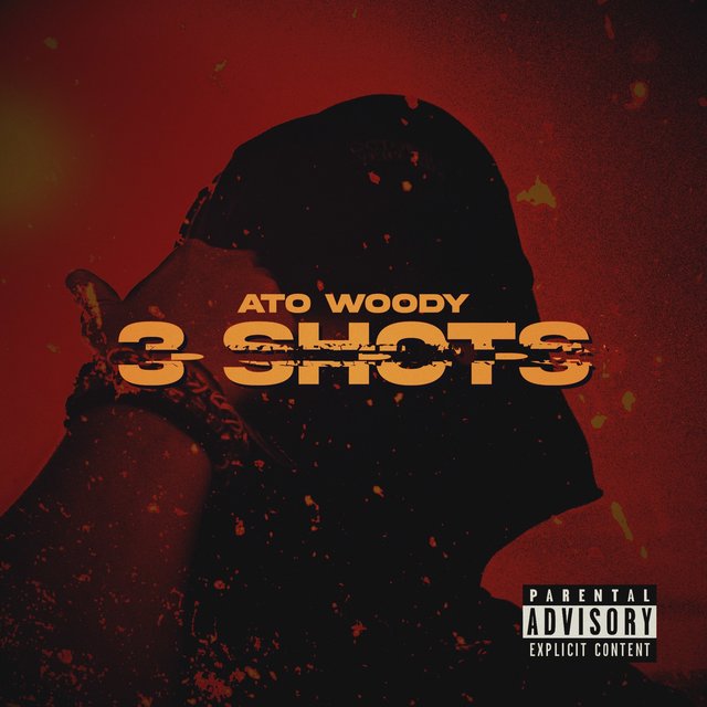 3 Shots