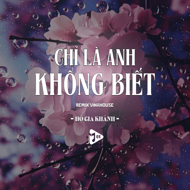 Chỉ Là Anh Không Biết (Remix Vinahouse)