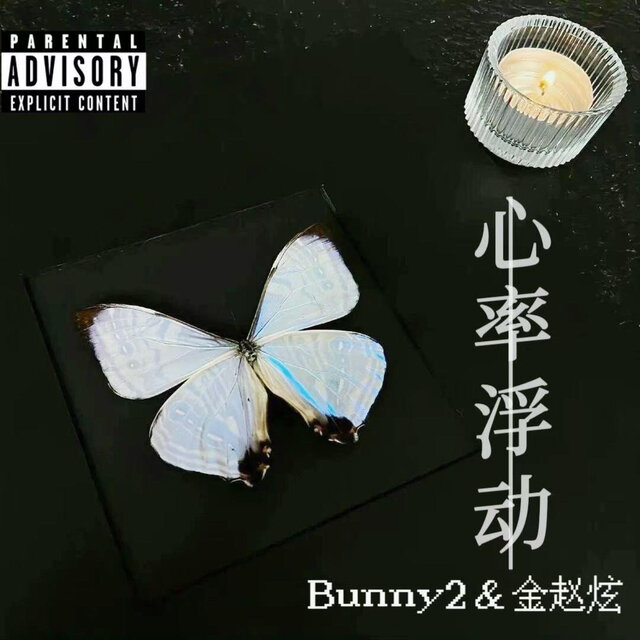心率浮动