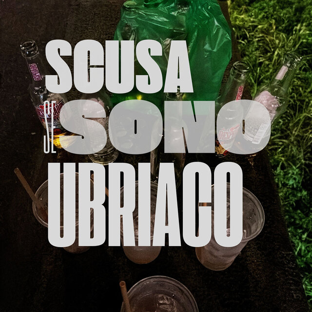 SCUSA SE SONO UBRIACO