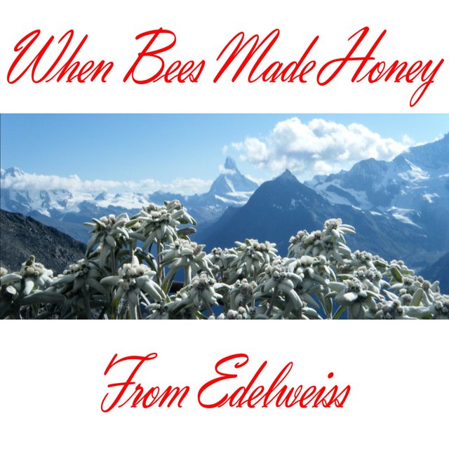 When Bees Made Honey From Edelweiss