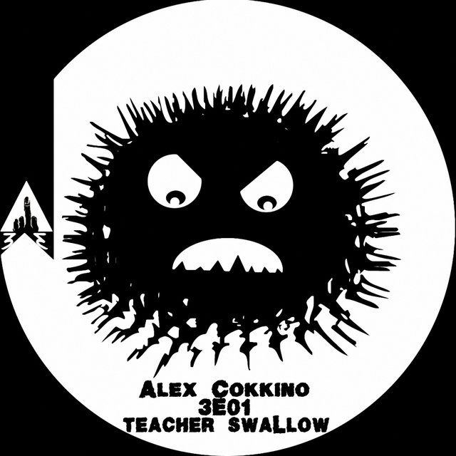 Teacher Swallow