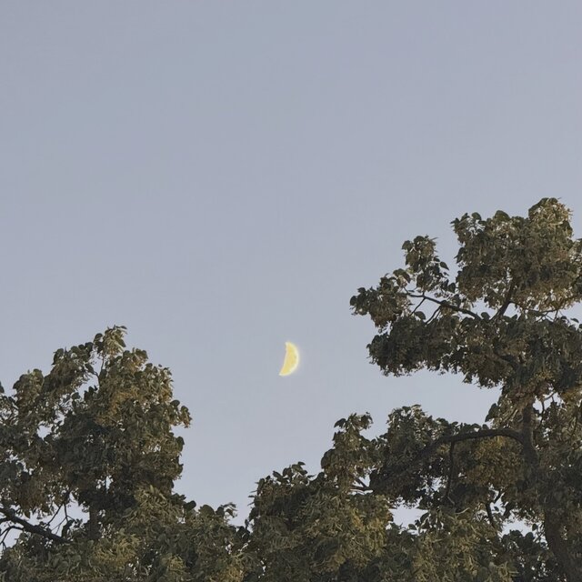 beneath the gentle moon