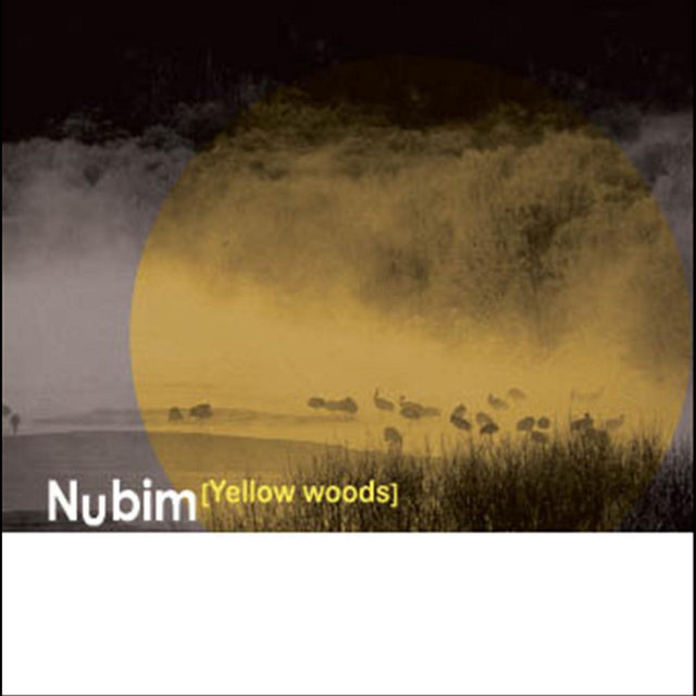 Yellow woods