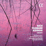 Violin Concerto in E Major, BWV 1042: III. Allegro assai