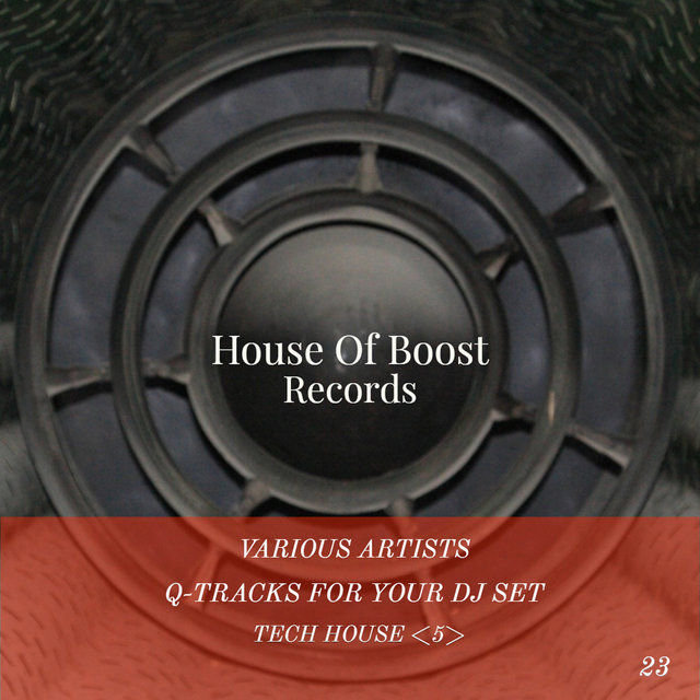 Q-Tracks For Your Dj Set Tech House 5