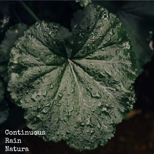 Continuous Rain Natura