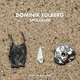 Cover art for album Spülsaum by Dominik Eulberg