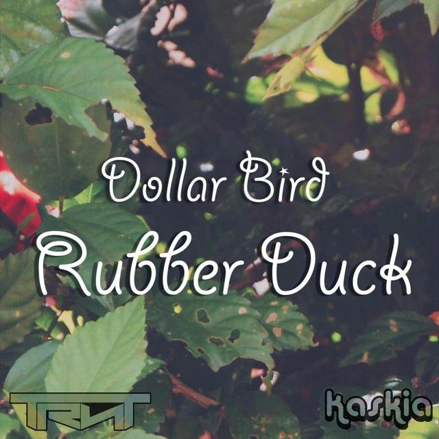 Rubber Duck