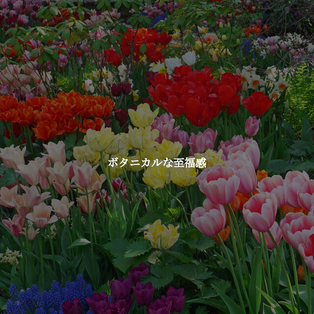 ボタニカルな至福感