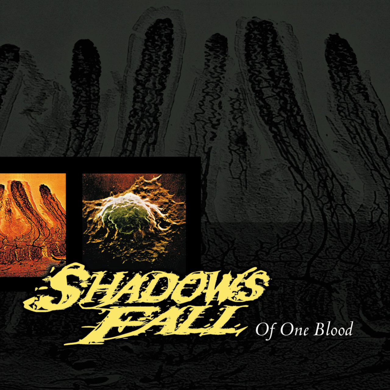 Of One Blood by Shadows Fall on TIDAL