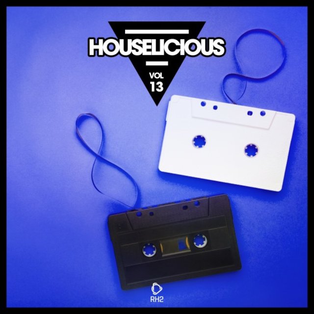 Houselicious, Vol. 13