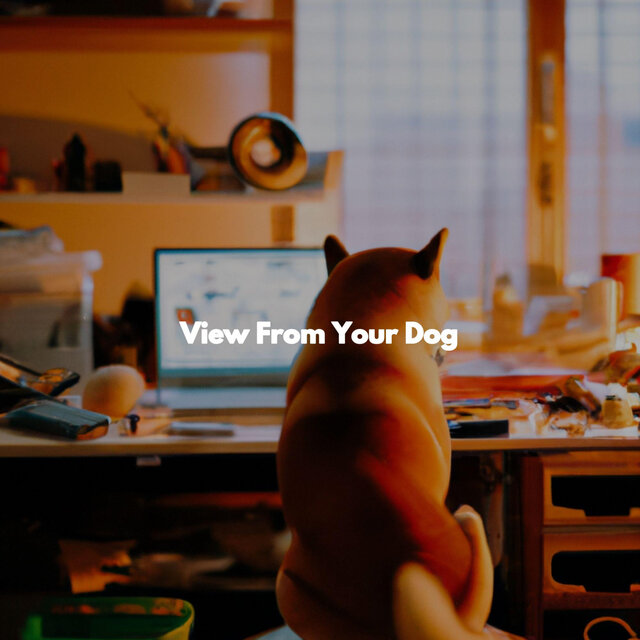 View From Your Dog