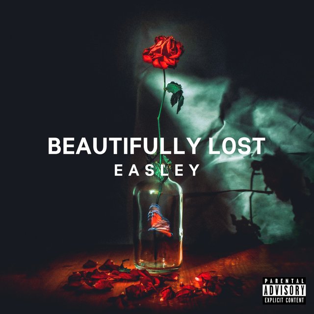 Beautifully Lost